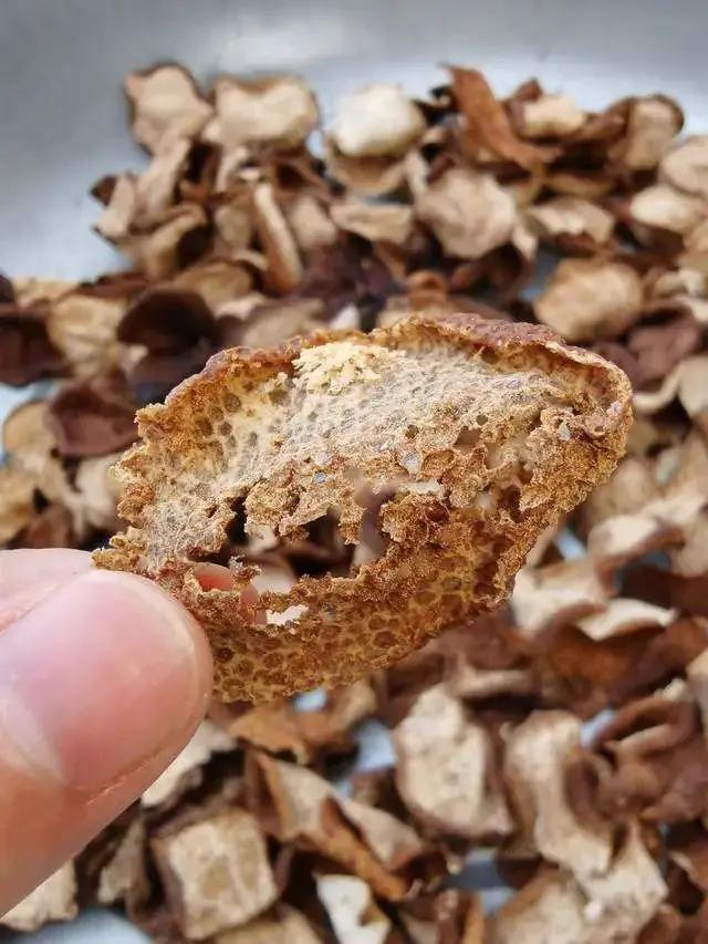 陈皮虫蛀怎么办,新会陈皮果怎么处理