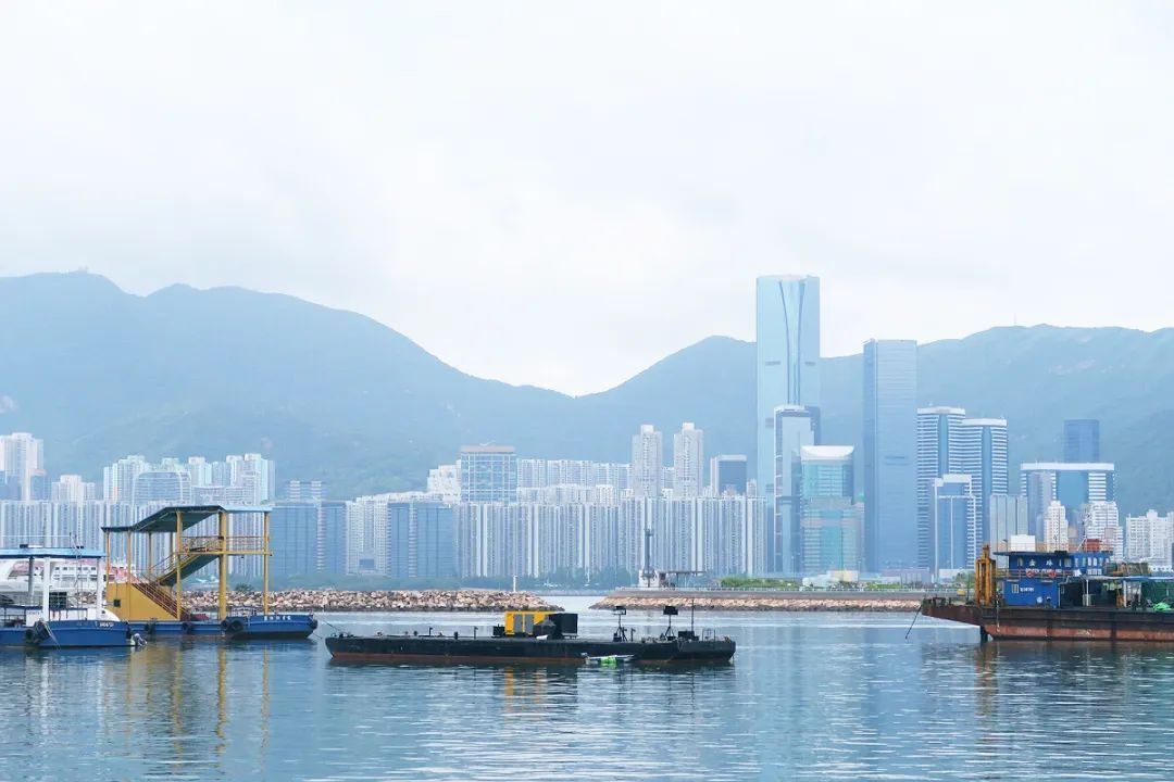 香港自由行攻略必买的东西,香港一日游吃喝玩乐最佳攻略路线