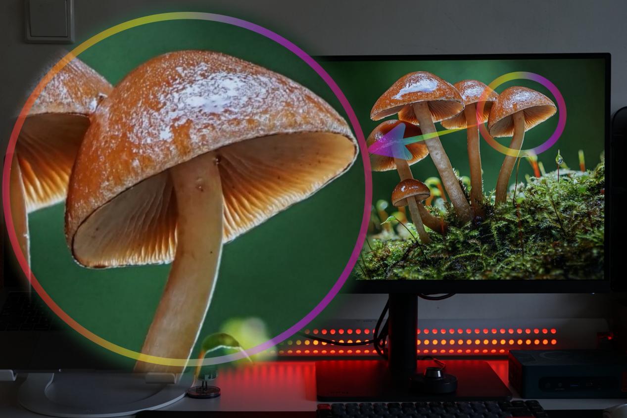 明基bnq8039benqpd2705u配什么显卡,明基显示器pd2705u对比studiodisplay