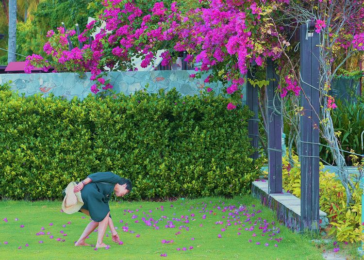 回味旧金山探访成功者的庄园,一种窗口令艾尔卡彭等囚犯备受折磨