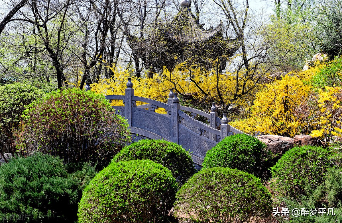 沈阳植物园沈阳世博园,沈阳世博园和植物园区别