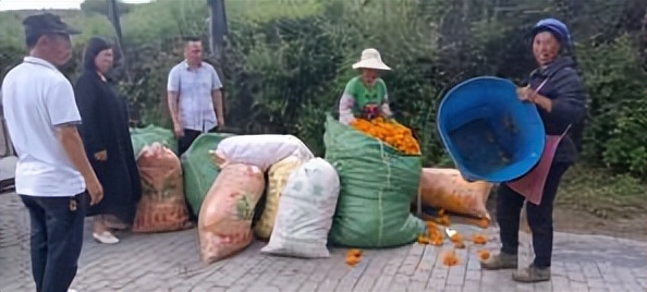 辛巴开国货计划新时代，即墨龙山：非遗公益课堂成暑期学习