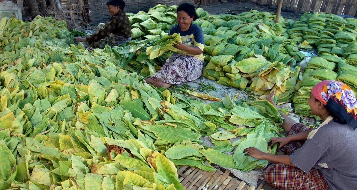 10元烟和20元烟哪个害处大,抽几块钱的烟和15块的烟有区别吗