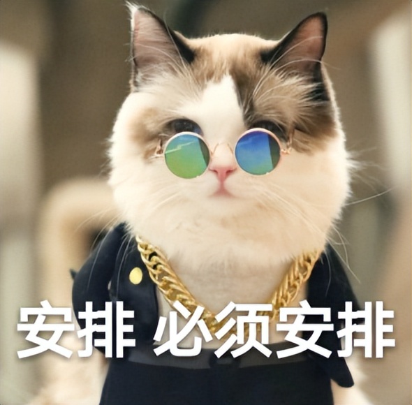 佛山市小区业主委员会成立的条件,佛山市业委会