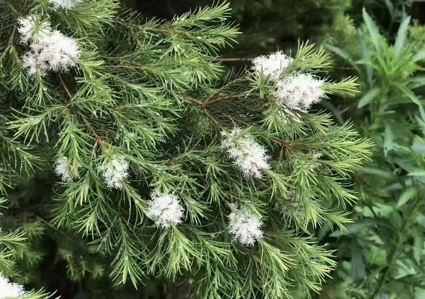 控油祛痘水乳推荐成分安全,什么成分保湿控油祛痘