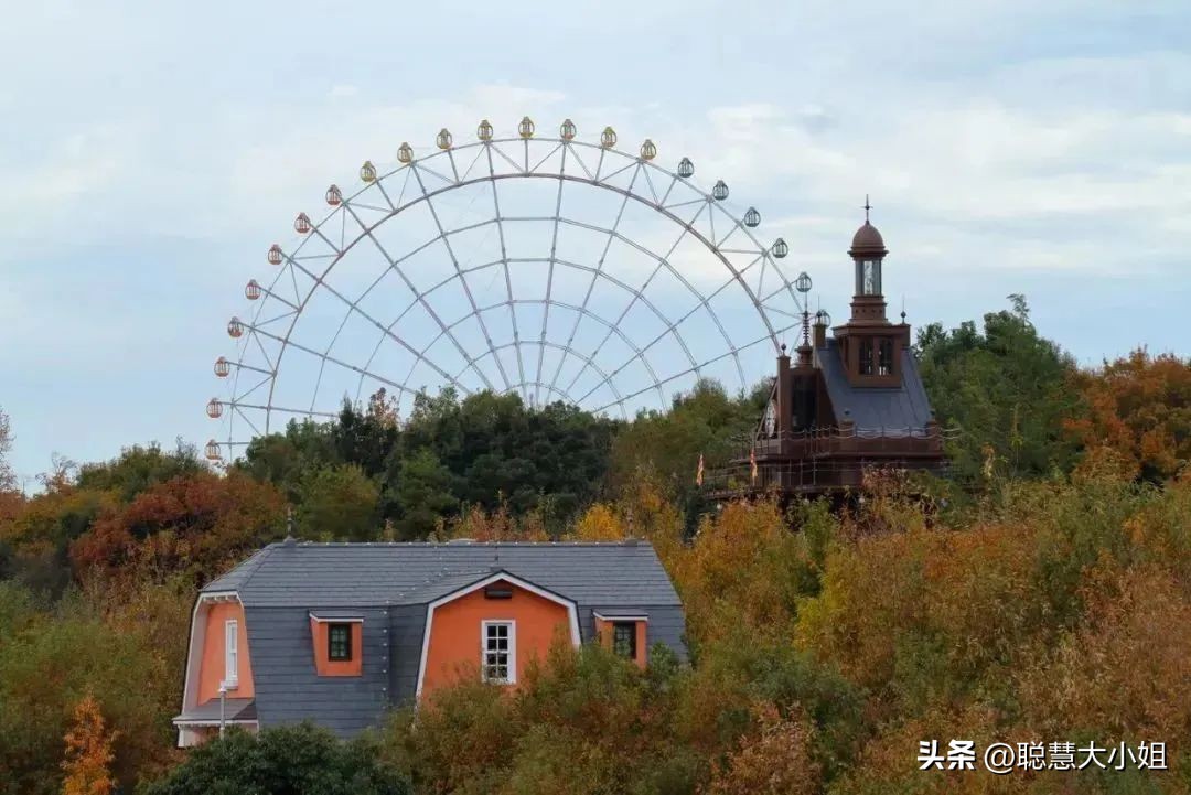 日本动漫圣地宫崎骏吉卜力美术馆,宫崎骏吉卜力美术馆购票攻略