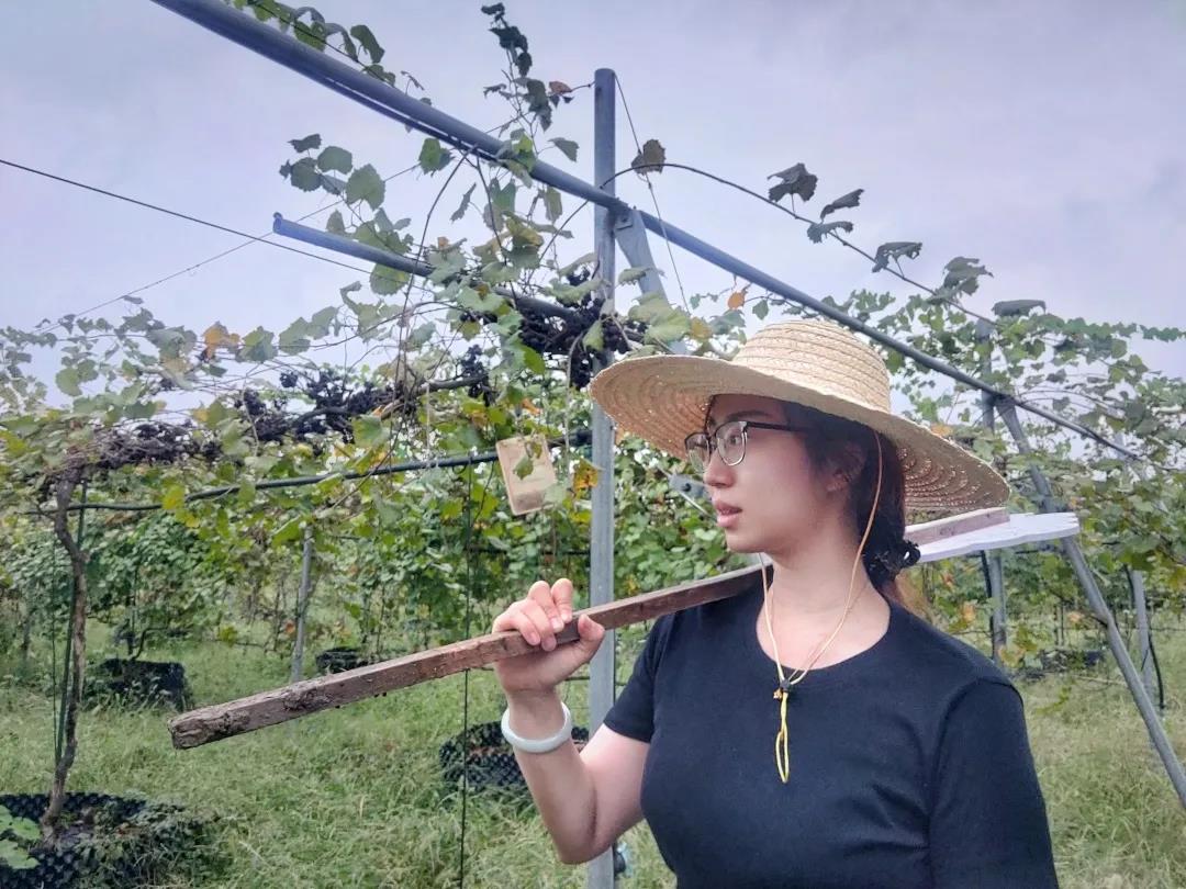 互联网创新创业大赛获奖作品,孙思捷全运会