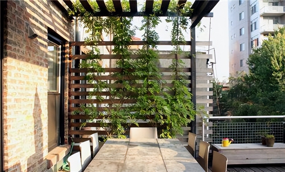 一楼带院的房子到底好不好,一楼带院的房真的不能买吗