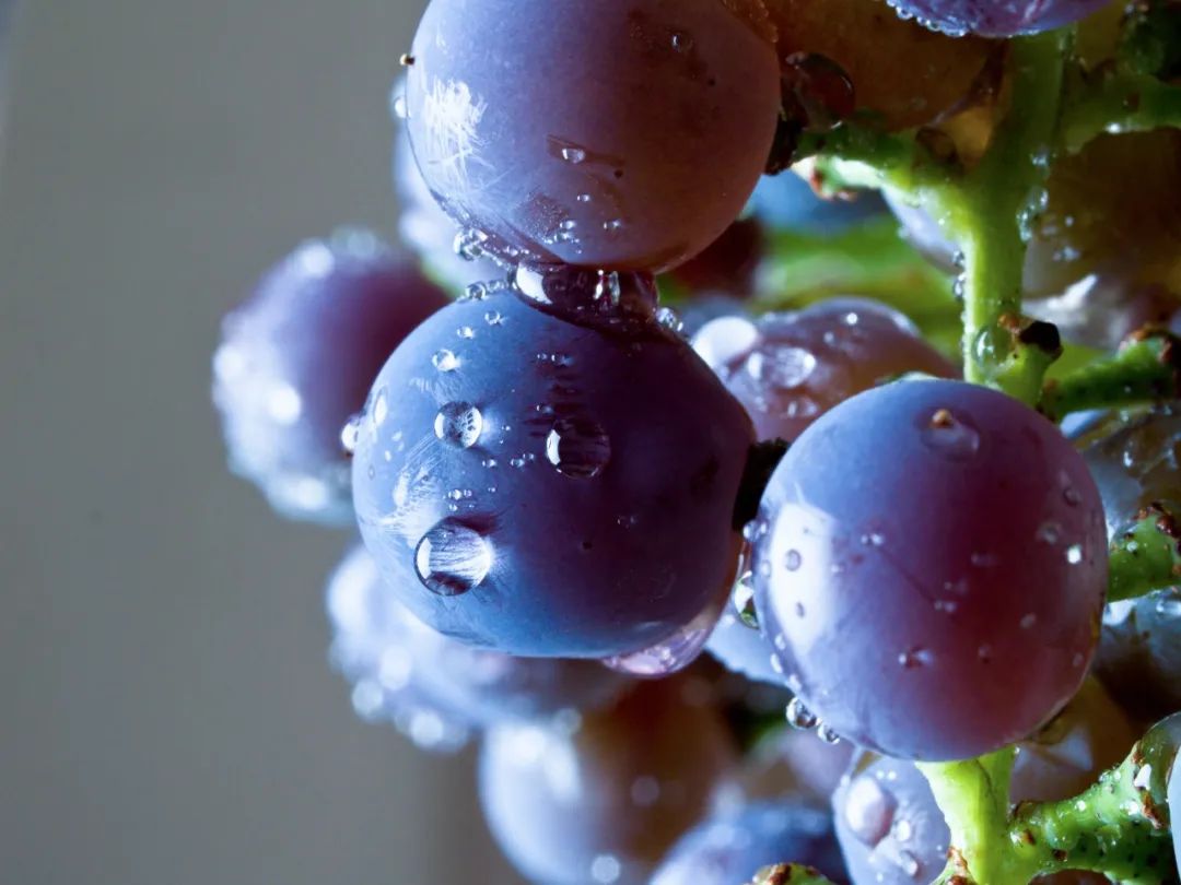 几月最适合吃什么水果,最适合七月吃的水果是什么