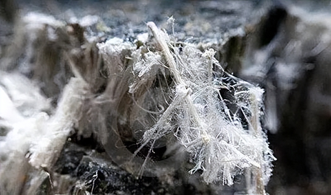 石棉是吸入还是皮肤接触对人有害,中国石棉对人体的危害