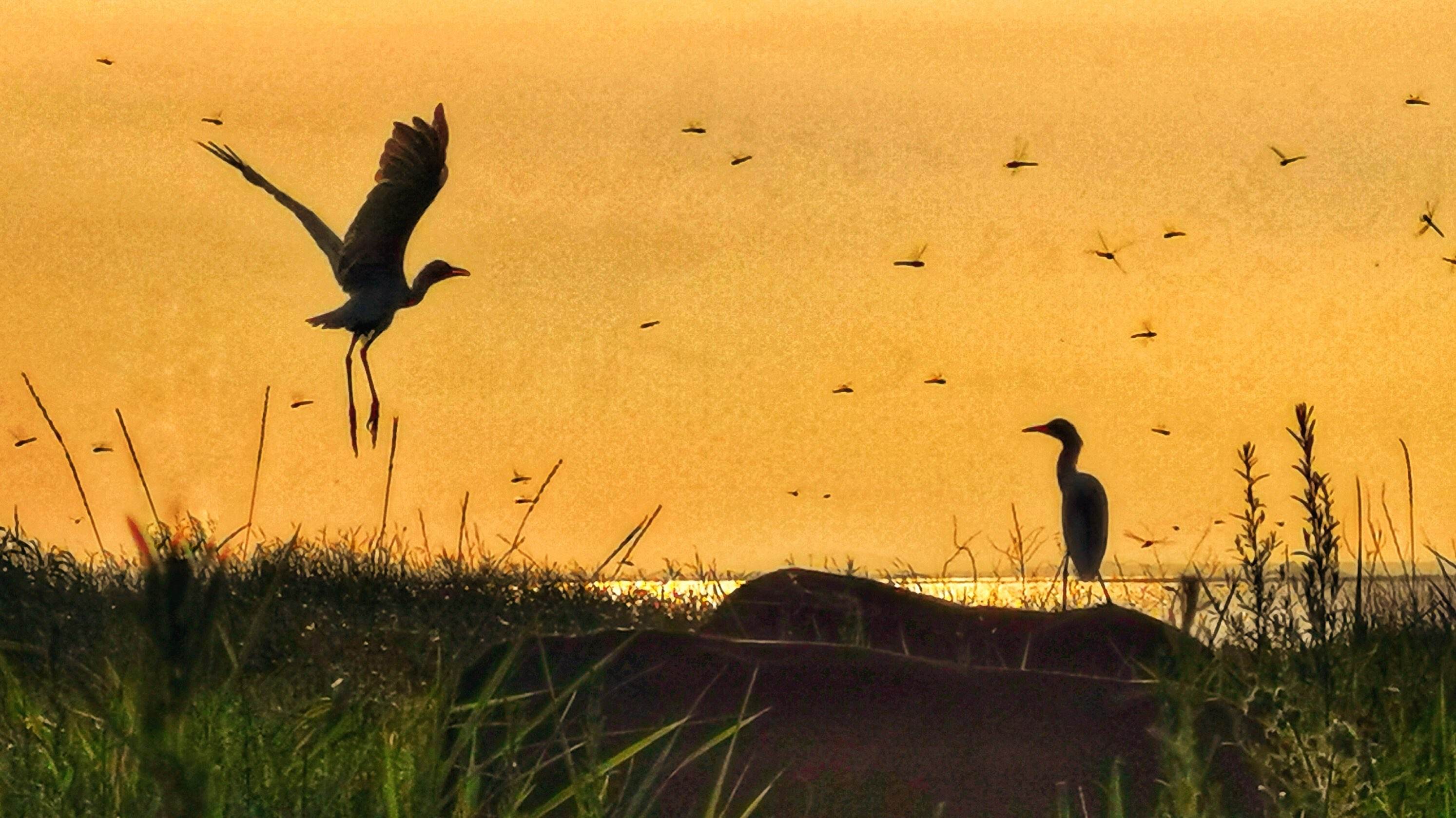 离职七律诗,七律离职感怀
