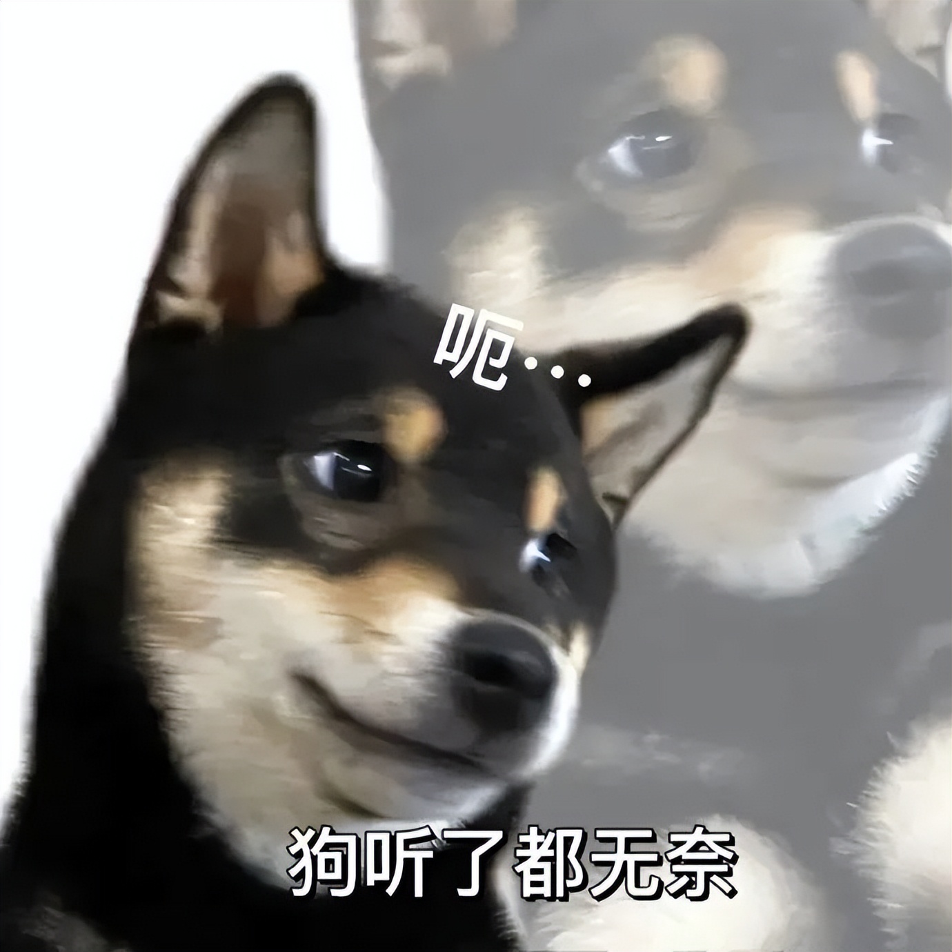 开挂有理，反挂有罪？开挂联盟决定将正常玩家踢出游戏…