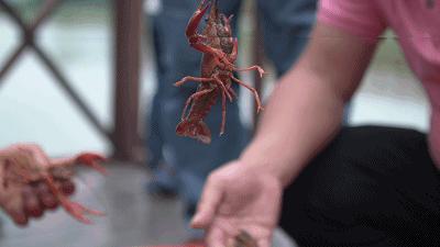 南宁徐霞客出游攻略,徐霞客在广西住了多少年