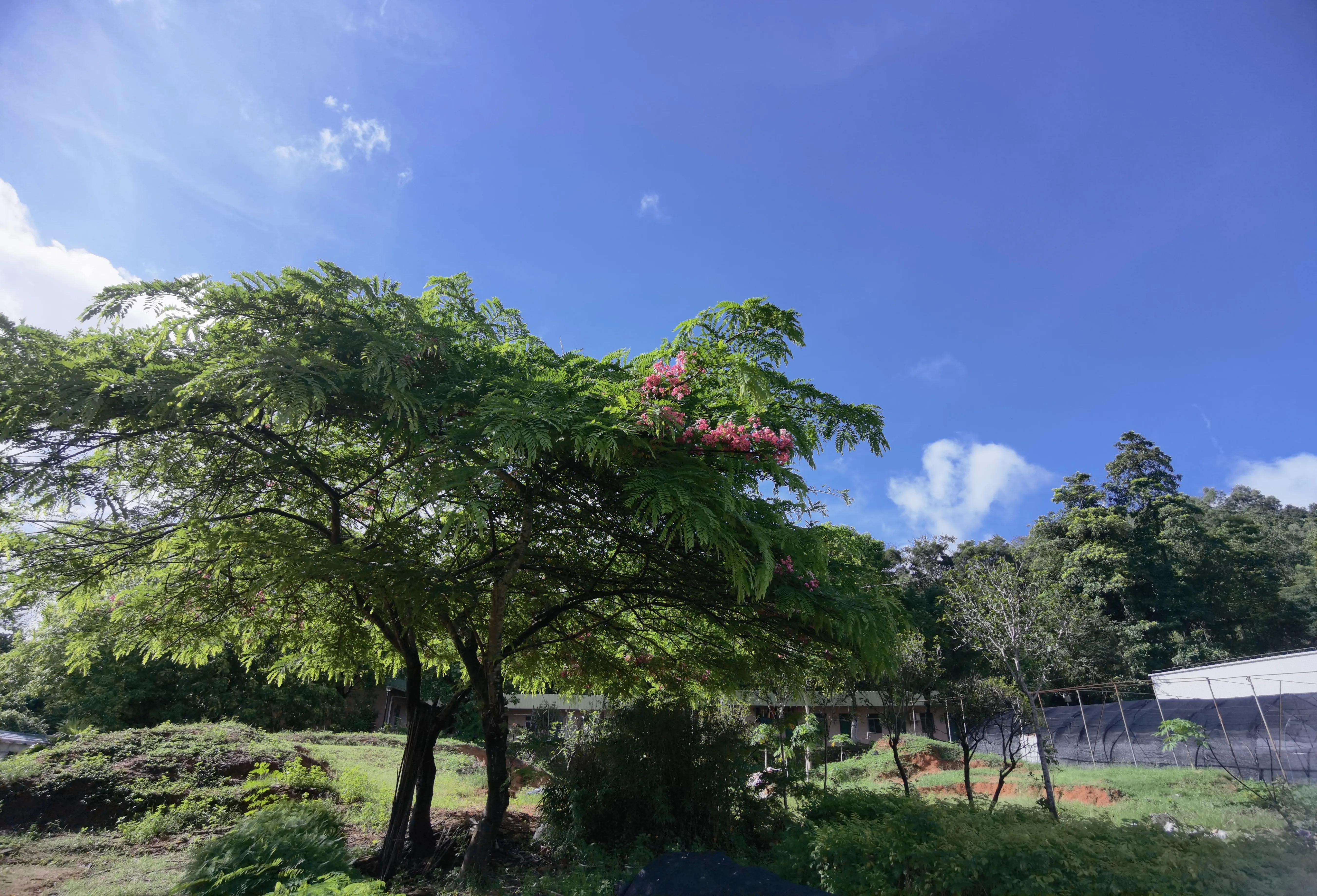 端午节过节费领取表,端午过节给父母多少过节费