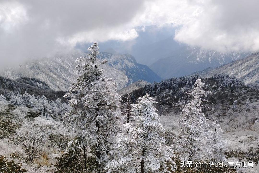 合肥市11月特价机票,特价机票来啦
