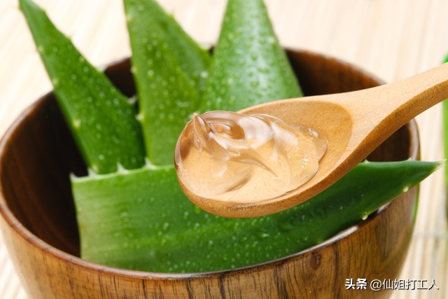 家里养的芦荟正确使用方法,家里养的芦荟怎么用最好