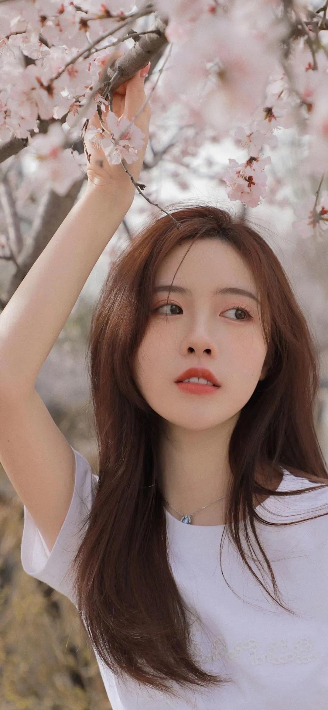 ipad屏保壁纸唯美,唯美动态屏保壁纸