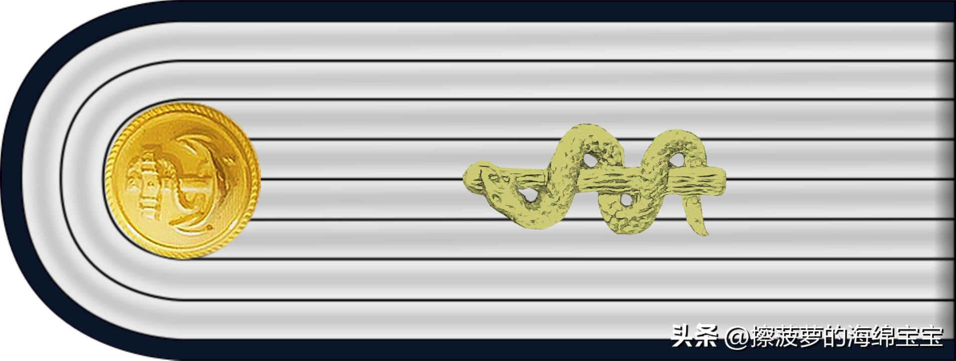 二战德国国防军医疗兵军衔标志