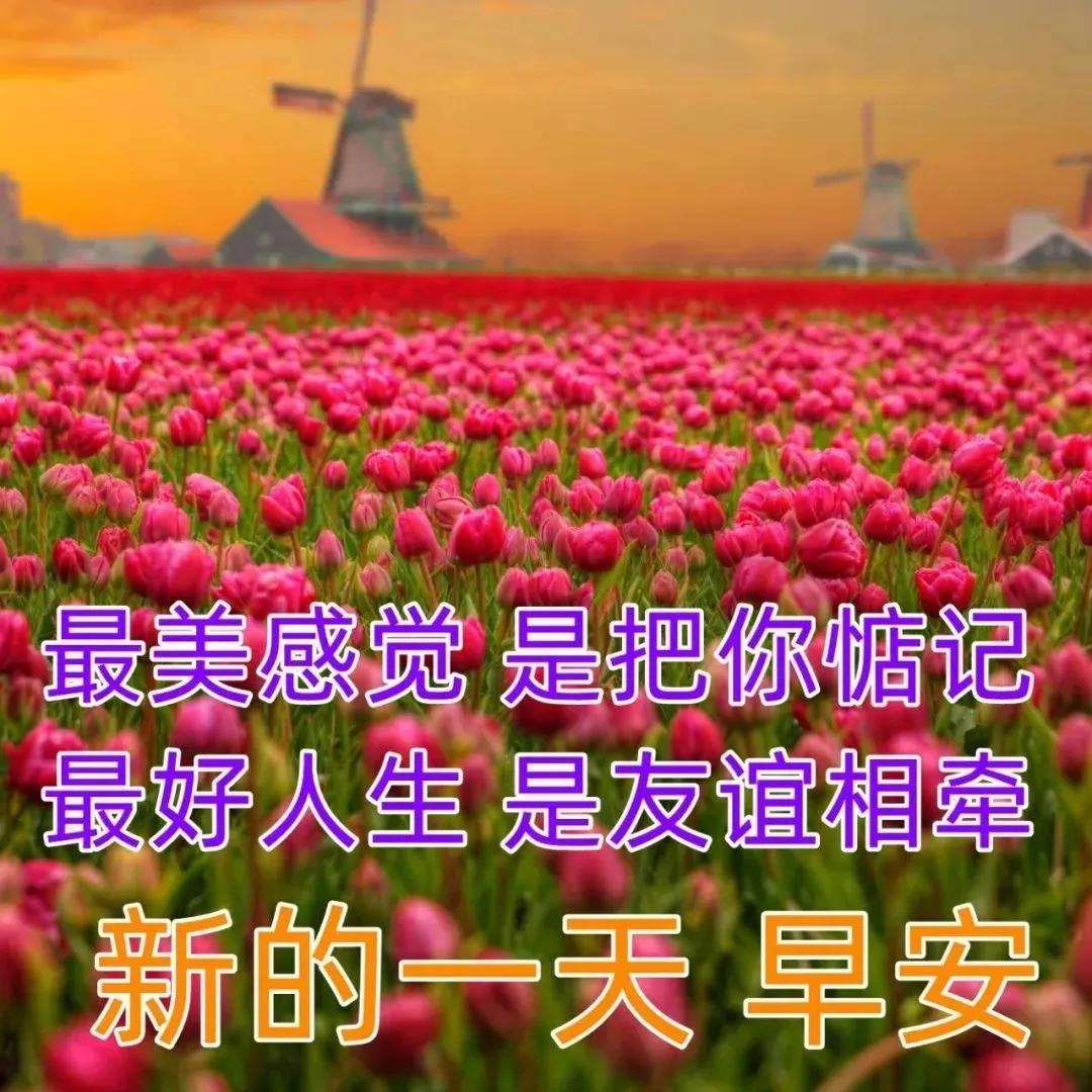 周五最美早安问候语图片带字温馨,星期天早安问候语简短一句话图片