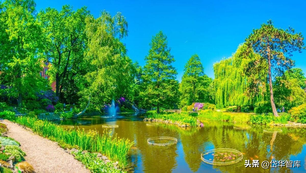 危废资源化龙头,固废危废资源化利用龙头公司