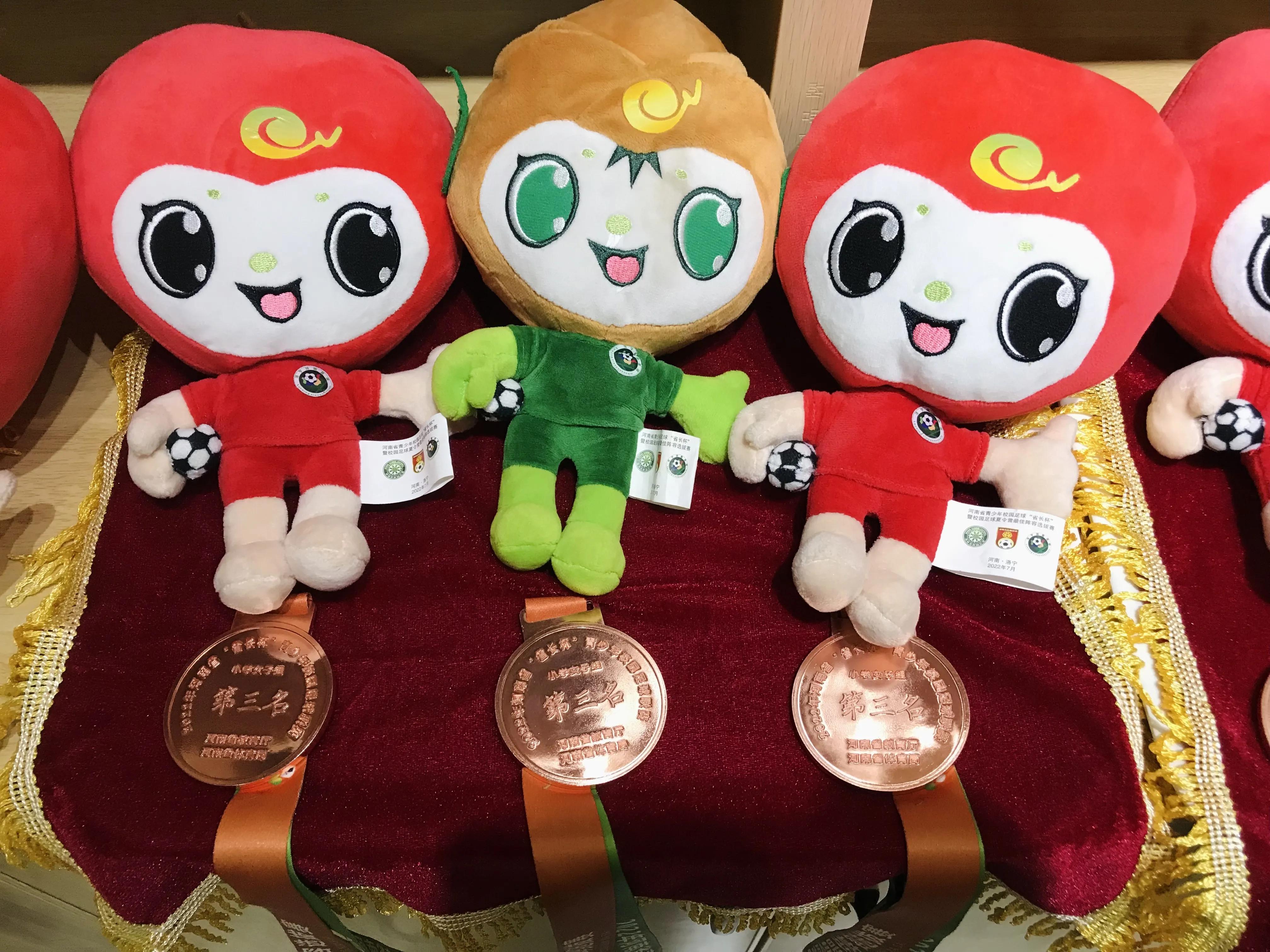 市长杯青少年校园足球联赛开幕式,江苏省省长杯足球比赛小学甲组