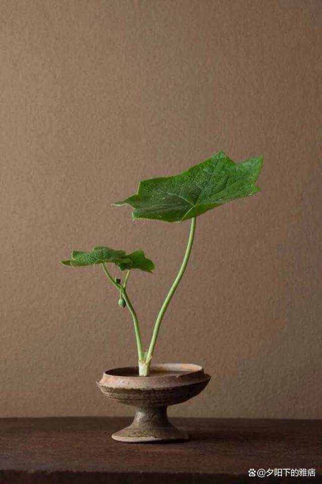 20句名人名言中英文,20句名人名言