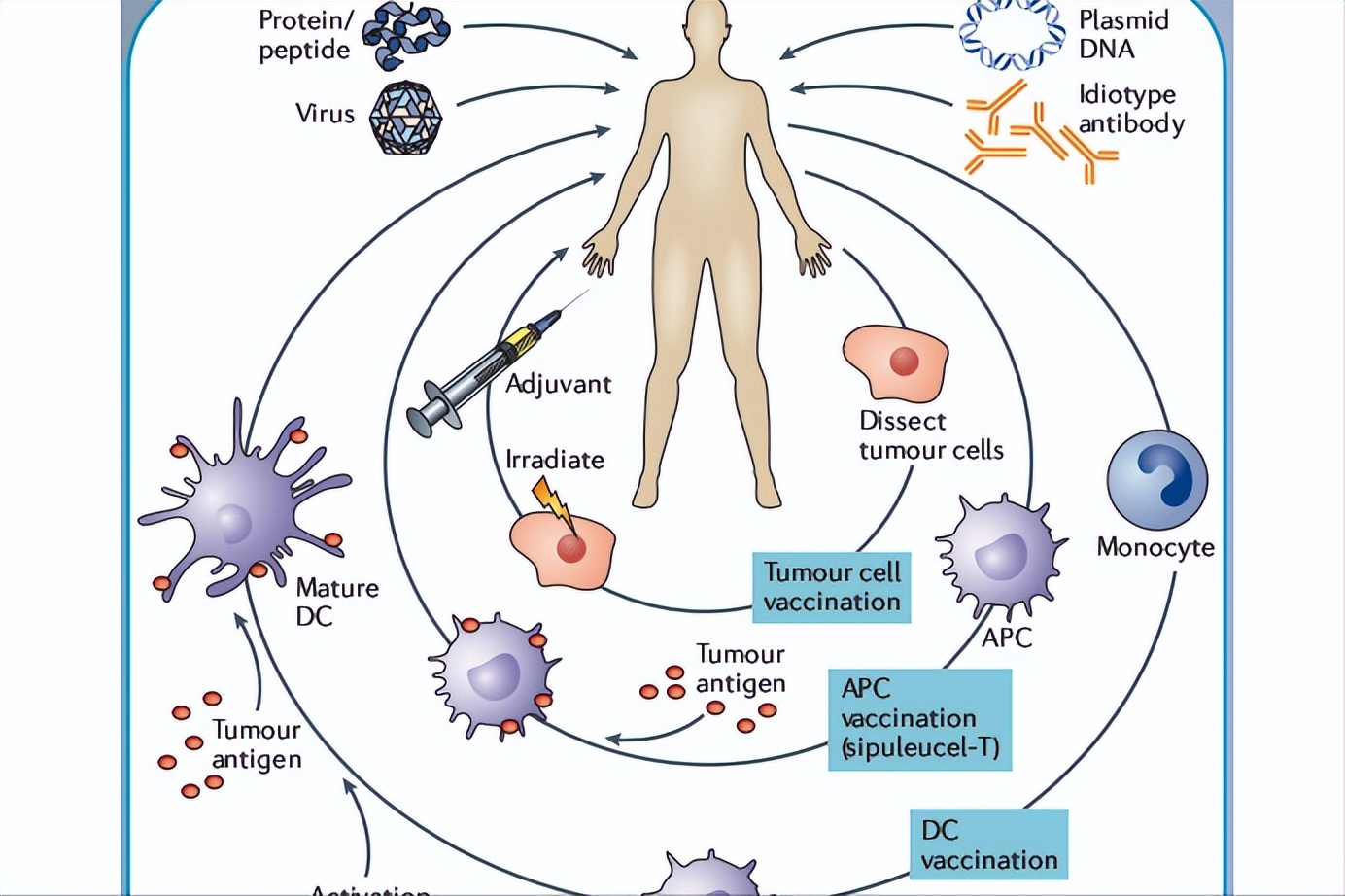骨折后饮食的注意事项和调理,骨折后如何饮食促进骨折的愈合