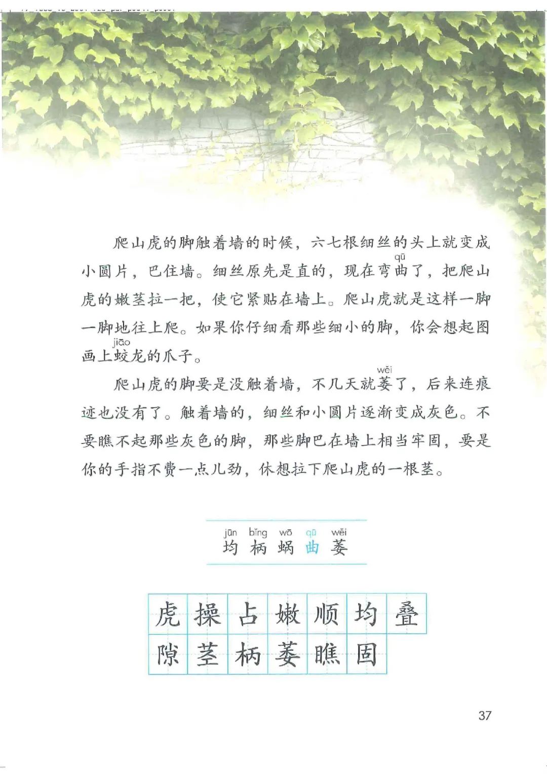 暑假预习教材推荐人教版,四年级上册语文课本人教版完整版