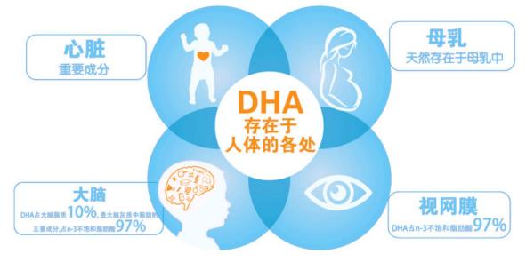 藻油DHA种类,脑黄金dha的藻油是什么样的