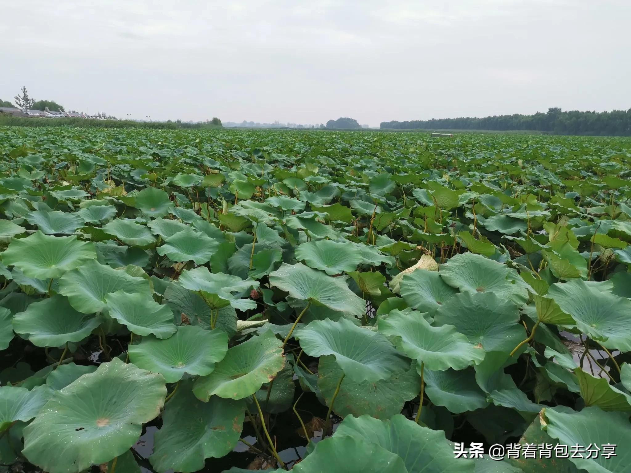 河北省著名景区有哪些,河北省十大景区