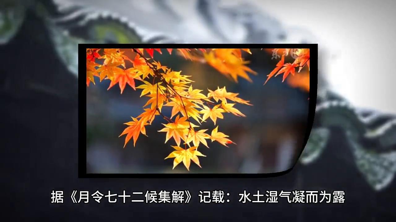 大眼睛星月菩提,大框素雅近视眼镜