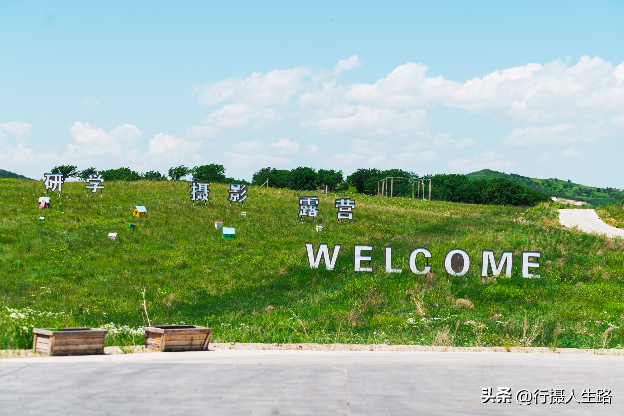 一路向北去黑龙江漠河,一路向北去寻找花海