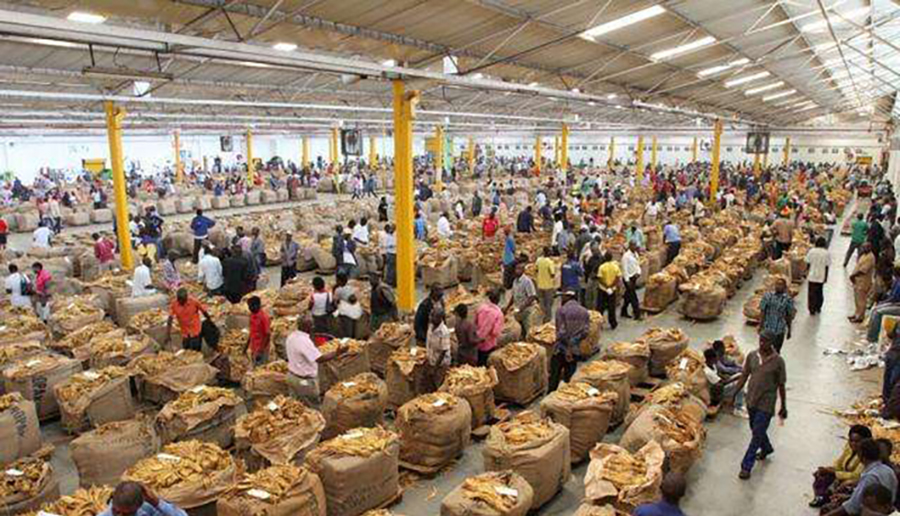 “津巴布韦”现状，带你看看真实的非洲穷国津巴布韦