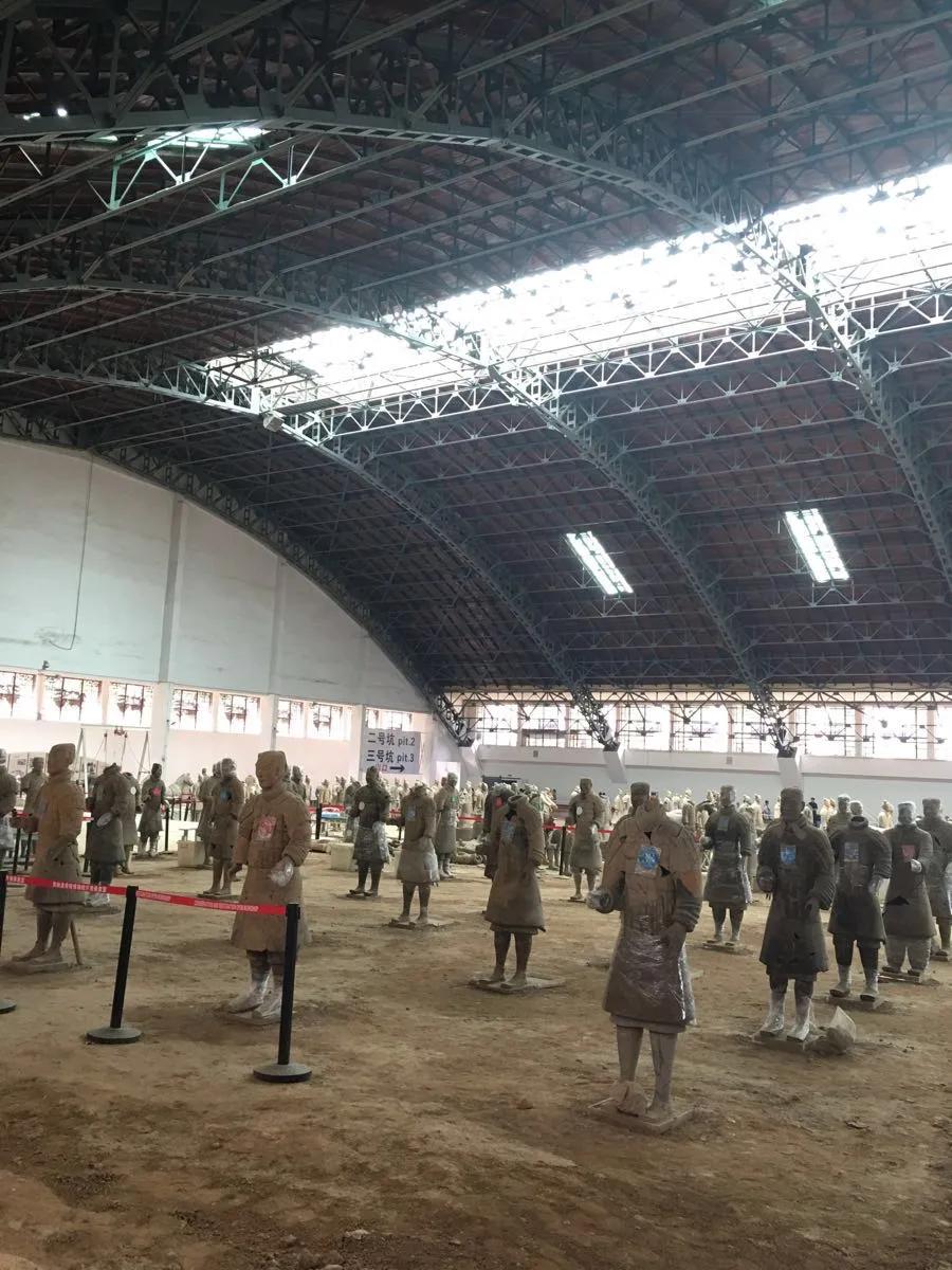 秦始皇博物馆兵马俑简介,秦始皇兵马俑是世界七大奇迹之一