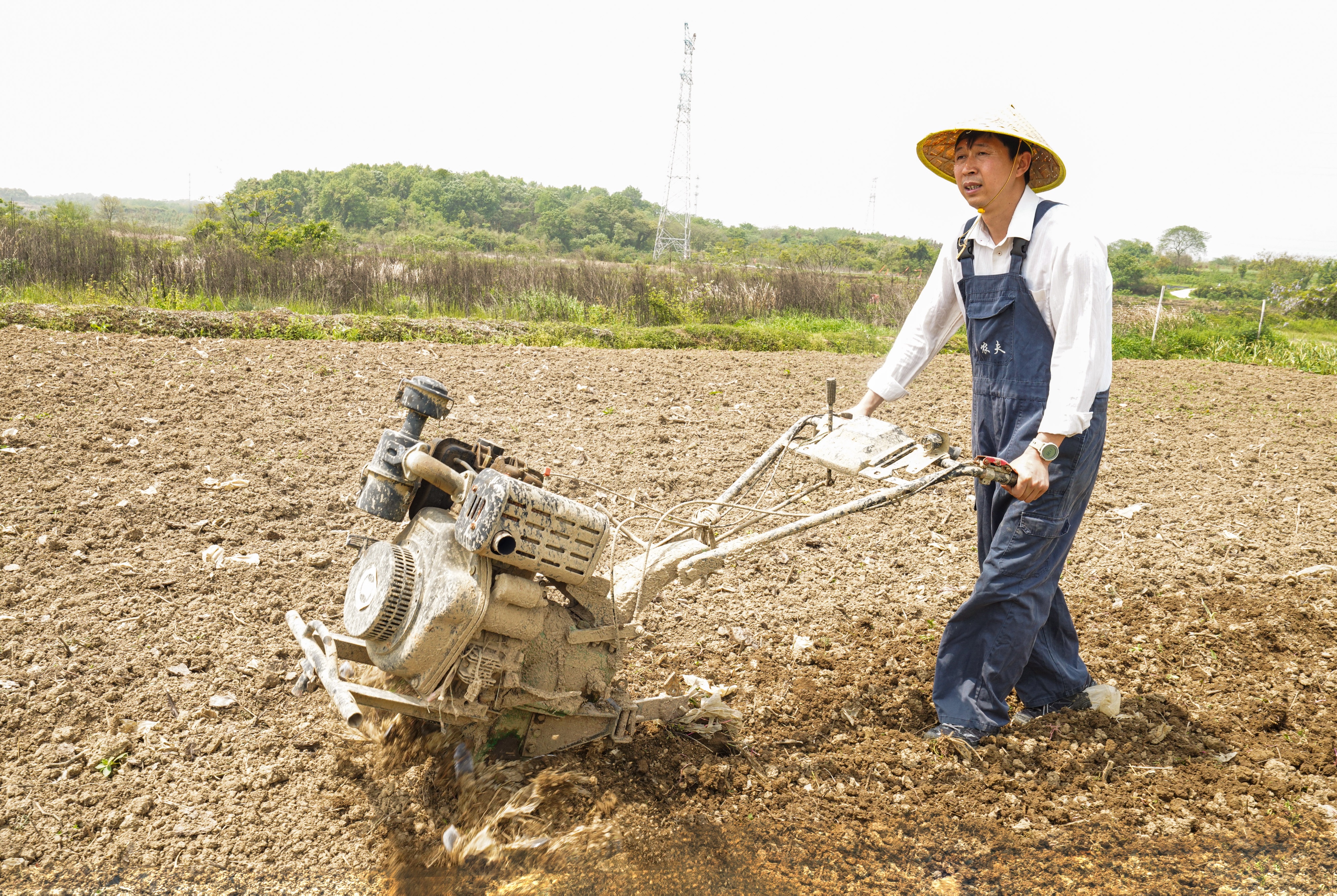 走近土专家|小农夫有大理想，他要种出更多好看好吃不用药的生态菜