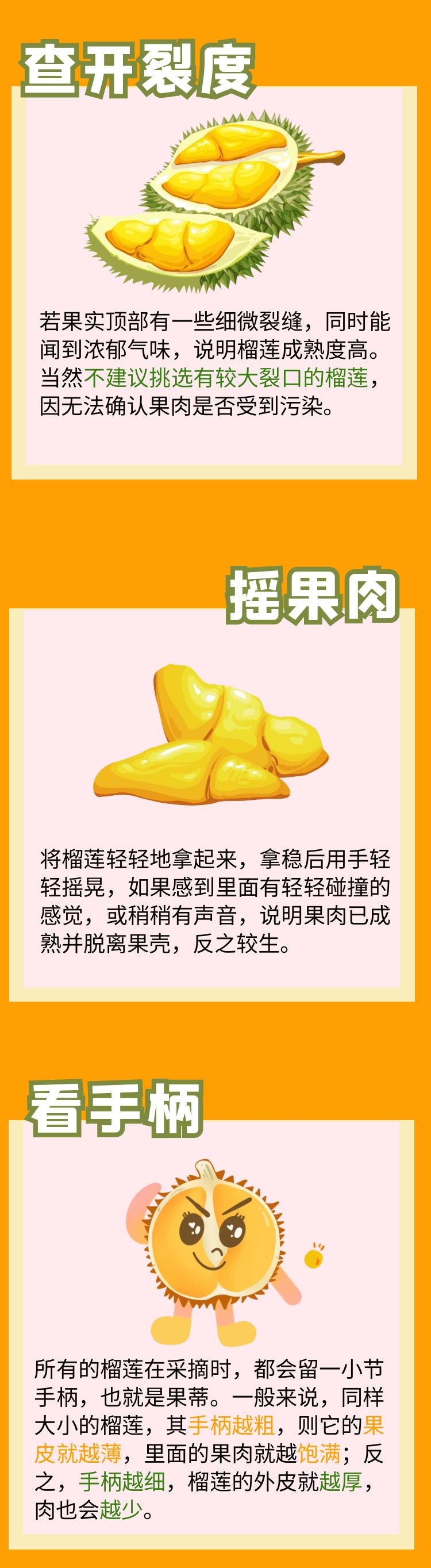 榴莲种类及上市时间,金枕榴莲和报恩榴莲