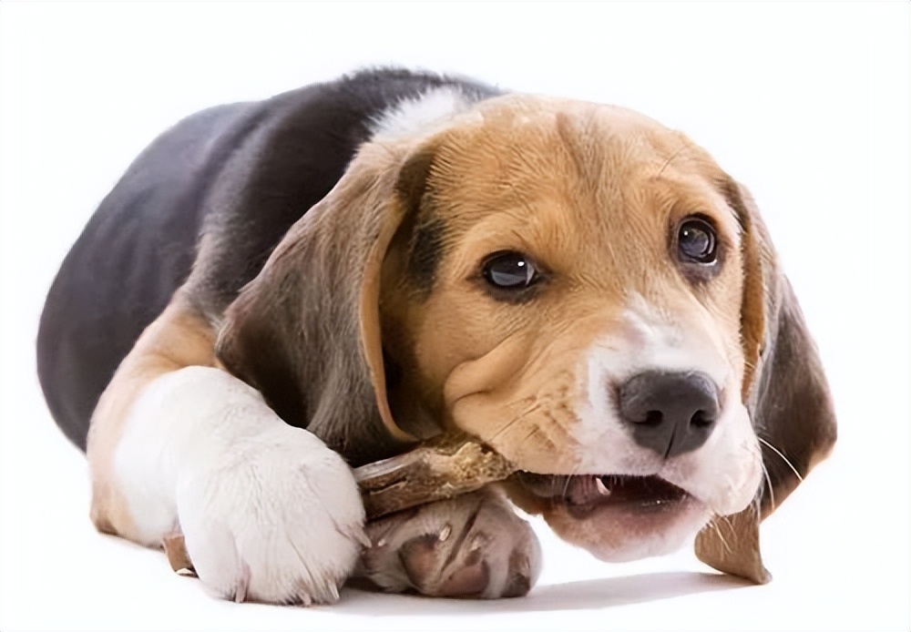 盘点6种不可思议的“异食癖”,盘点十种奇怪的异食癖