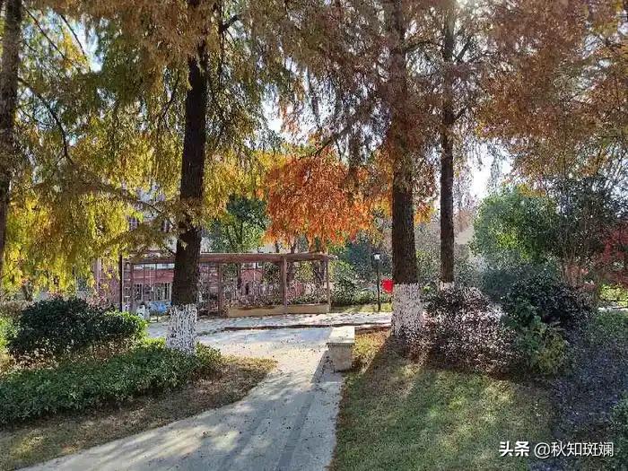 奉贤海湾最新视频,奉贤临港海湾