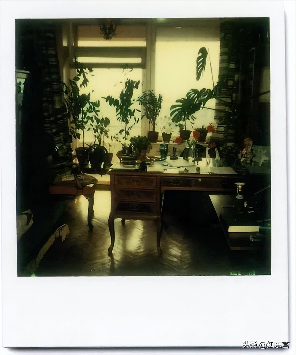 世界杯沉浸体验,世界杯的快乐是什么