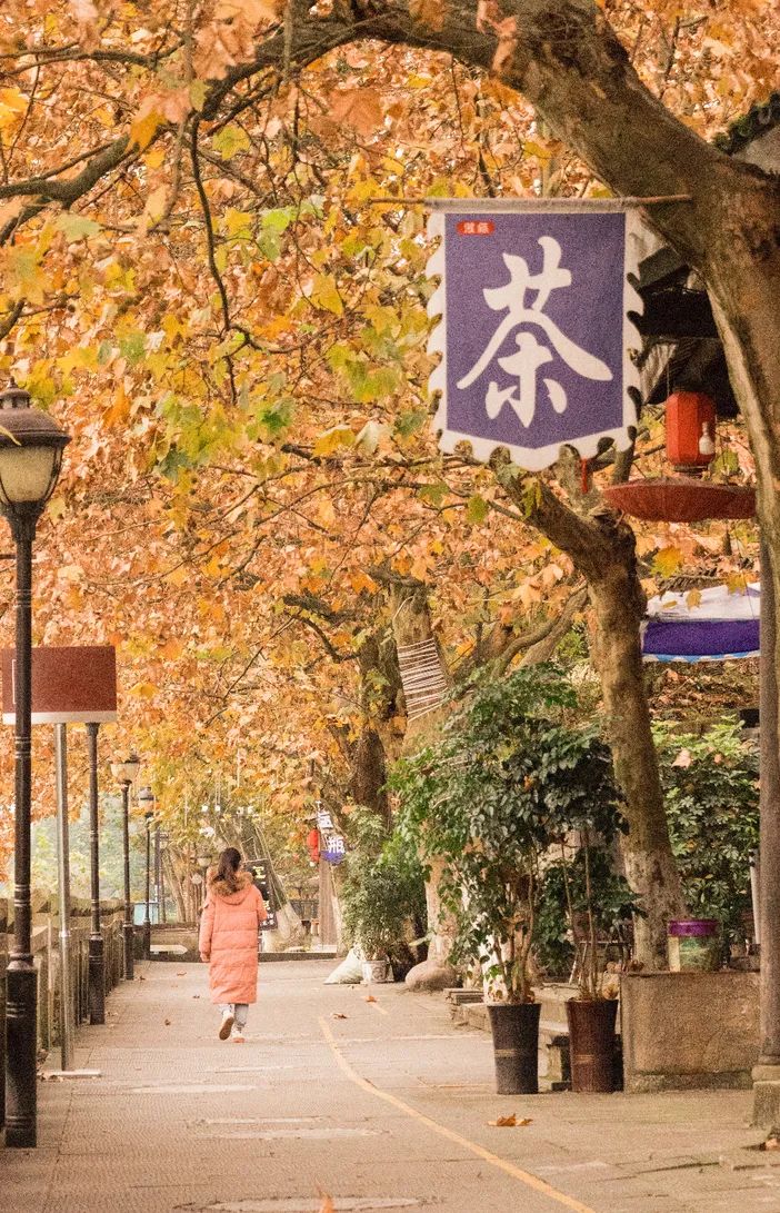 超安逸！水灵妹带你打卡都江堰6条烟火气十足的老街，告别喧嚣和浮躁，邂逅静美冬日~