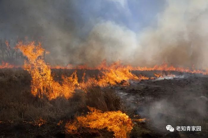 1983女知青,一个女知青的三十年坎坷经历