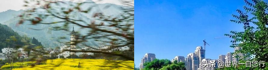 怎么写简历体现自己有变现能力,怎样写简历会让你更有竞争力