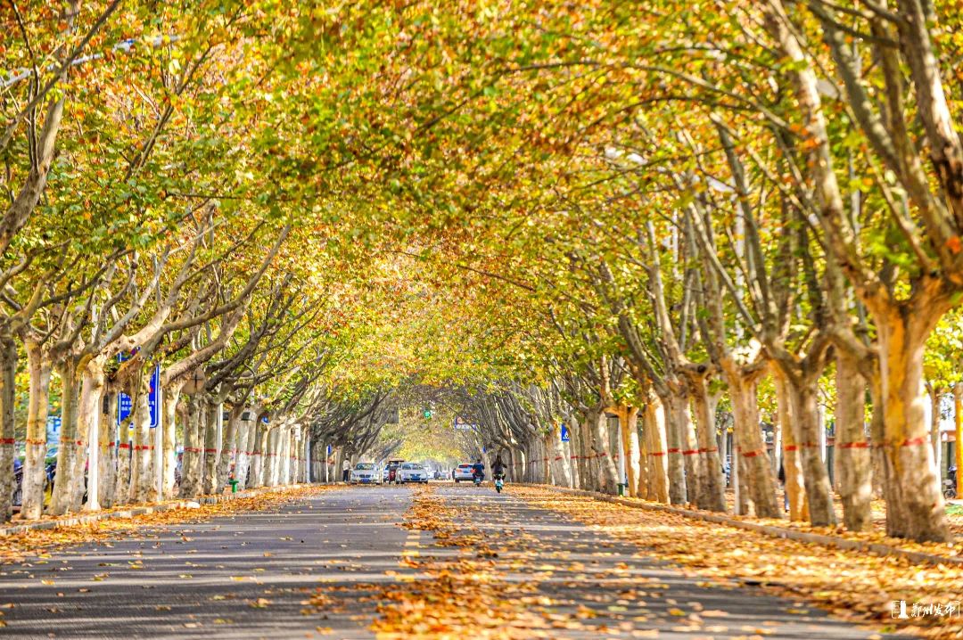 遇见闽侯上街,遇见西安街头版