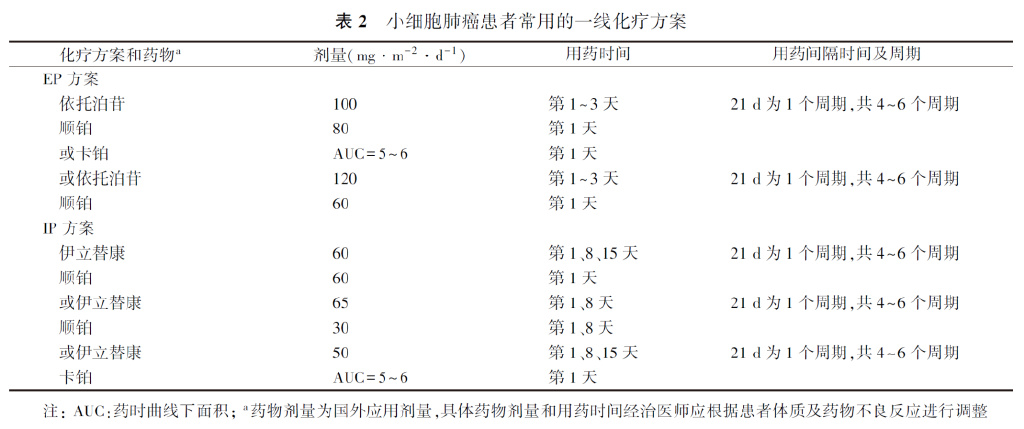 Ⅳ期原发性肺癌中国治疗指南（2023年版）