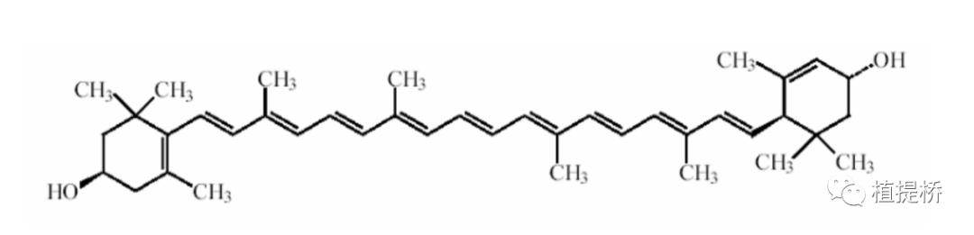 叶黄素护眼老少皆宜,选择叶黄素护眼