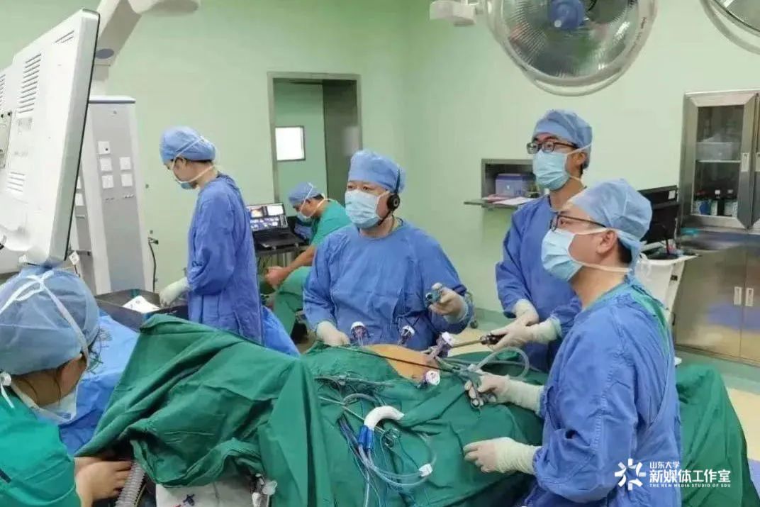 开学季春归校园再启新程,开学季辞旧迎新