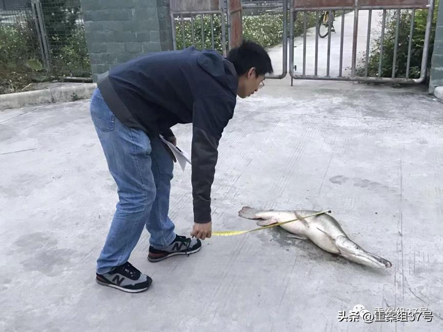 槌勯泙槌濊瀹氫负澶栨潵鐗╃,槌勯泙槌濊缃戝簵鎹㈠悕鍞崠