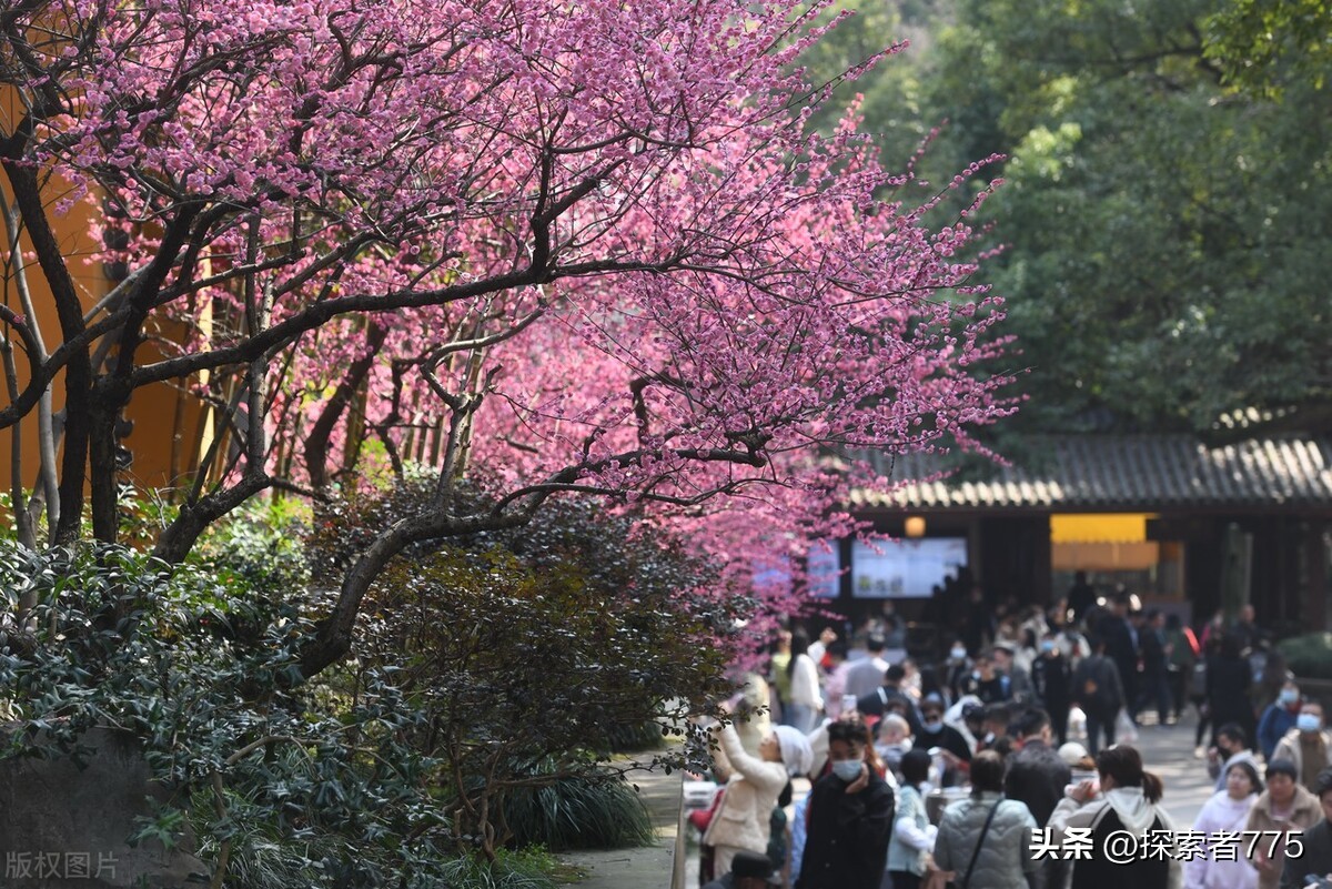 杭州西湖两日游攻略夏天,上海到杭州西湖一日游攻略