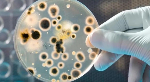 衣服为什么不可反过来晒,衣服怎么晒才正确的