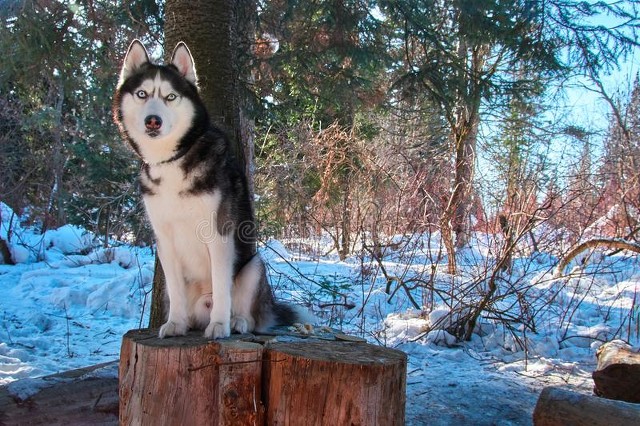 真正的友情有时甚至胜过爱情,友情是一种很难维持的情感